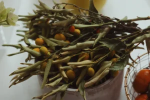 Dried olive branches with small yellow berries.