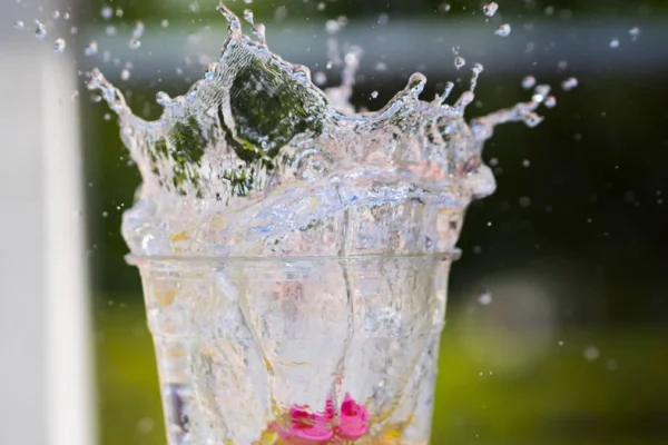 A glass filled with water and a pink flower